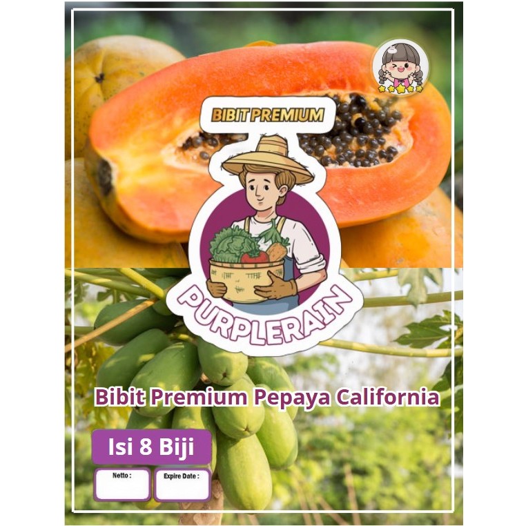 Bibit Premium Pepaya California |Benih Pepaya California | Bibit Pepaya