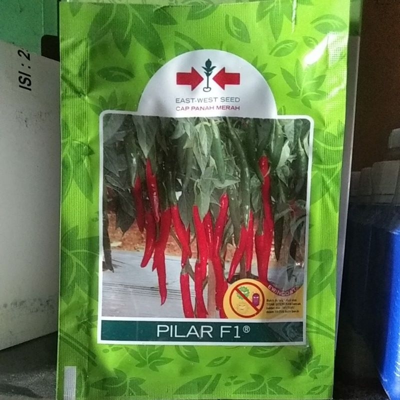 benih cabe besar PILAR F1