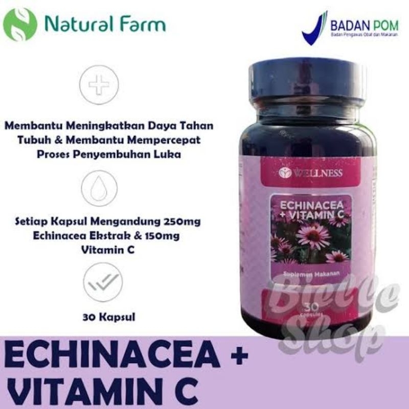 Wellness Echinaceae + Vitamin C (30 kapsul)