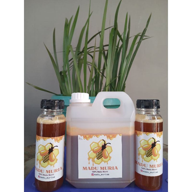 

Madu Gunung Muria ( Bee Polan )