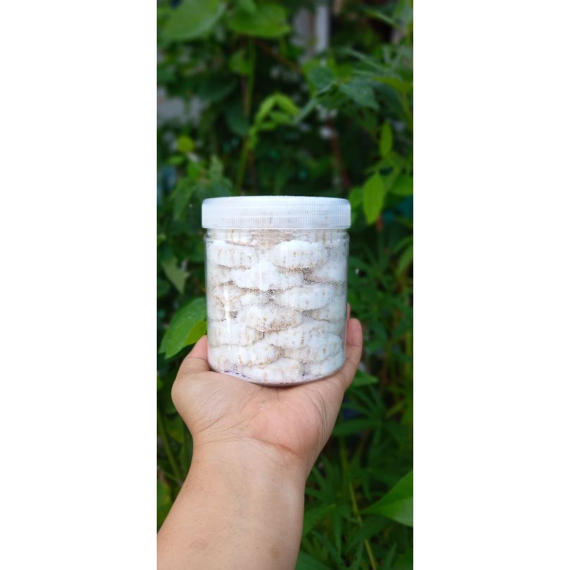 

KUE KERING PUTRI SALJU PREMIUM Toples Tabung 600ml