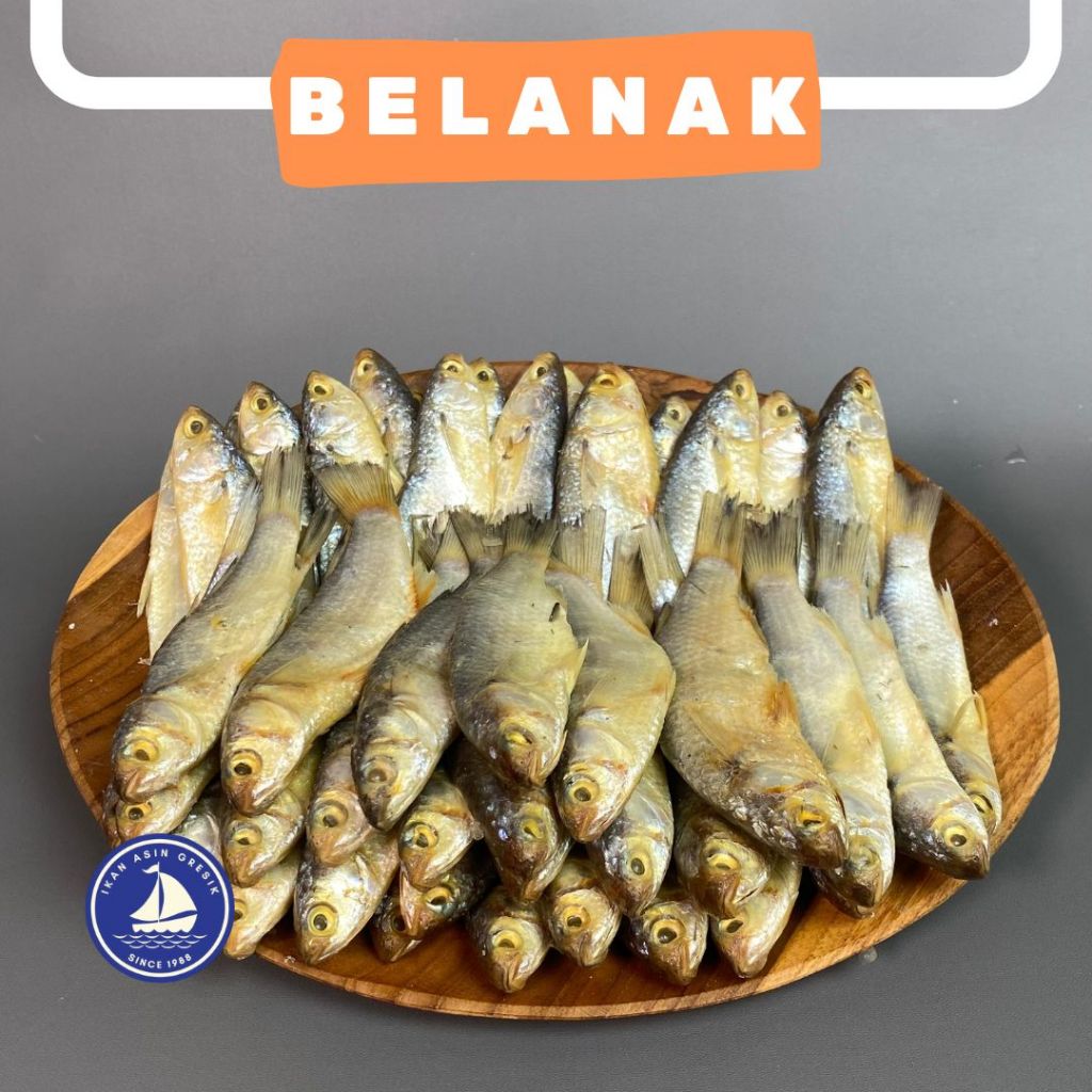 

Ikan Asin Gresik Belanak Gerih Asin Kemasan 500gram