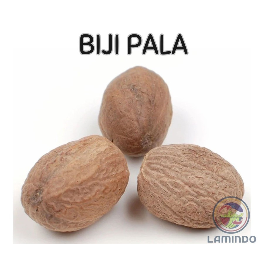 

Bij Pala Bulat 100 gram, 250 gram, 500 gram, 1 kg / Whole Nutmeg