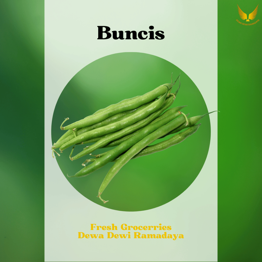 

Buncis Dewa Dewi Rama Daya