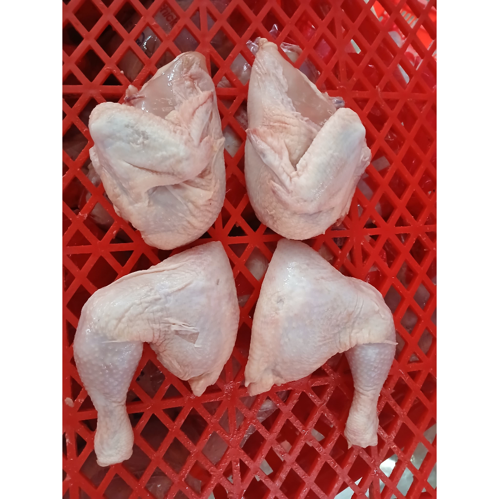 

PAKET AYAM BROILER 700 GRAM 10 EKOR POTONG 4/AYAM BROILER/AYAM POTONG 4