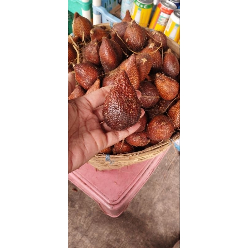 

SALAK MANIS SIDEMPUAN TAPSEL