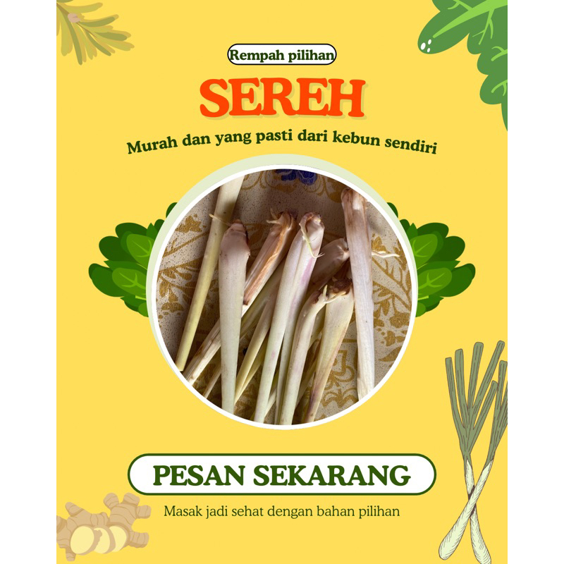 

SEREH / SERAI 100% rempah pilihan berkualitas wangi dan segar jual per ikat