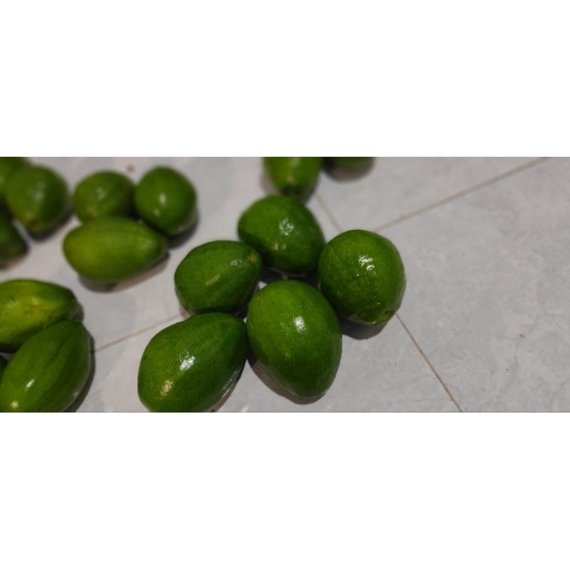 

BUAH AVOKAT