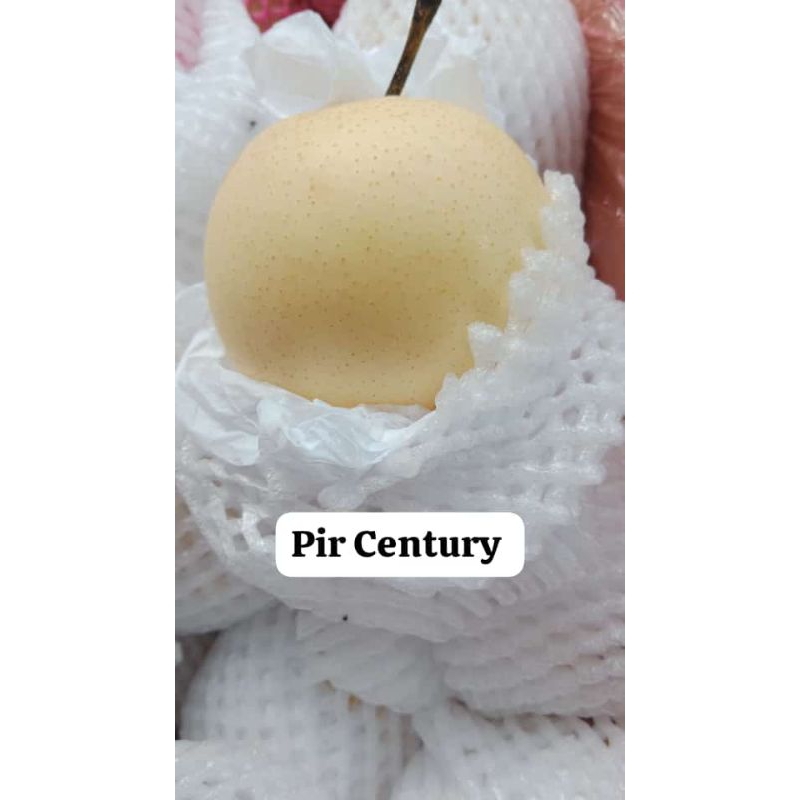 

Pir Century pengiriman instan Sukabumi