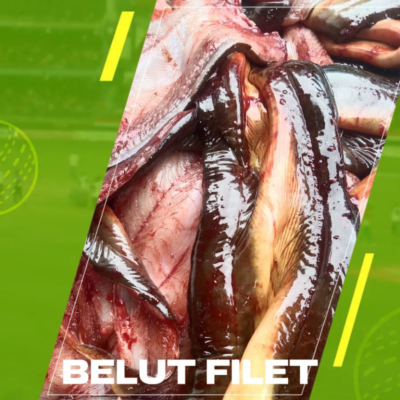 

BELUT FILLET 350g TANPA TULANG&KEPALA