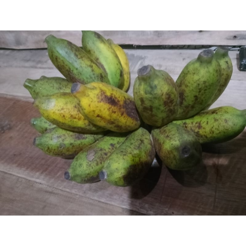 

Pisang Buah Biasa