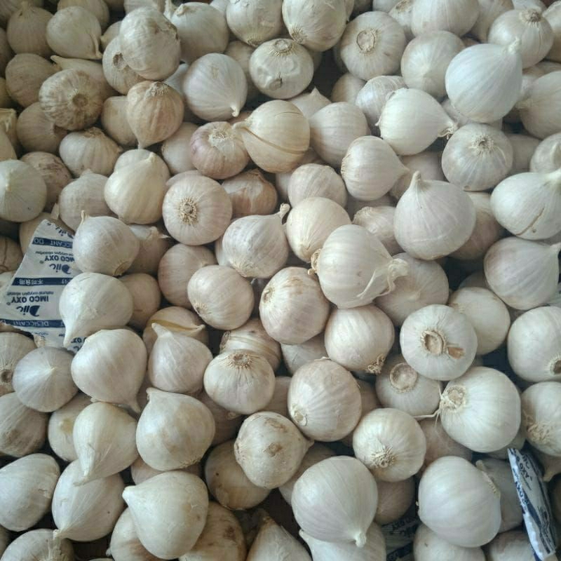 

promo bawang putih tunggal/lanang import 500 gram/free dus packing