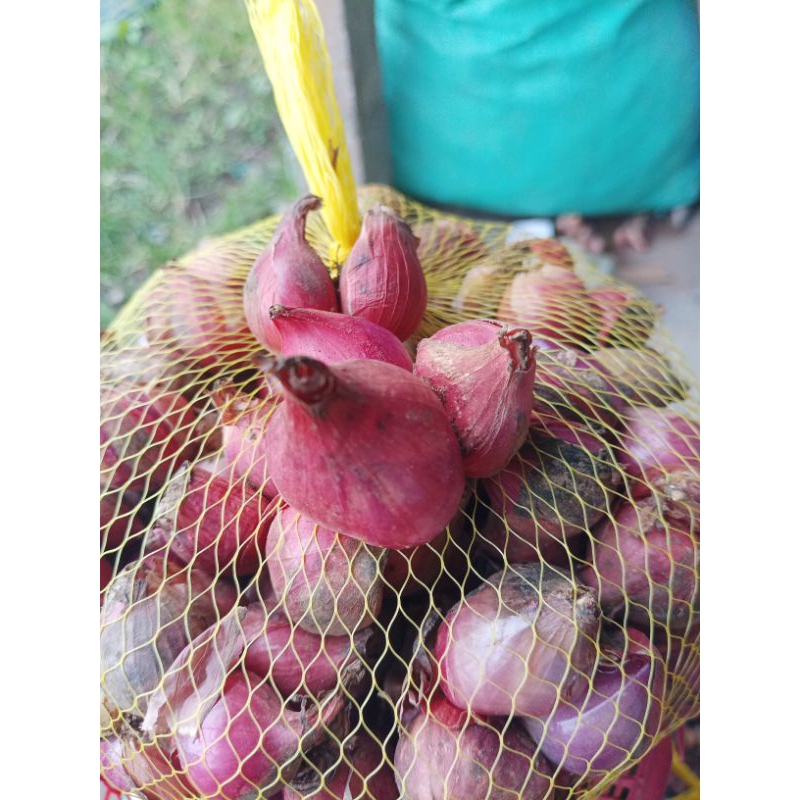 

bawang merah lokal nganjuk 1kg