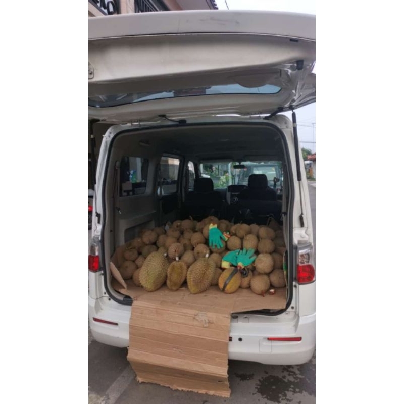 

Durian local
