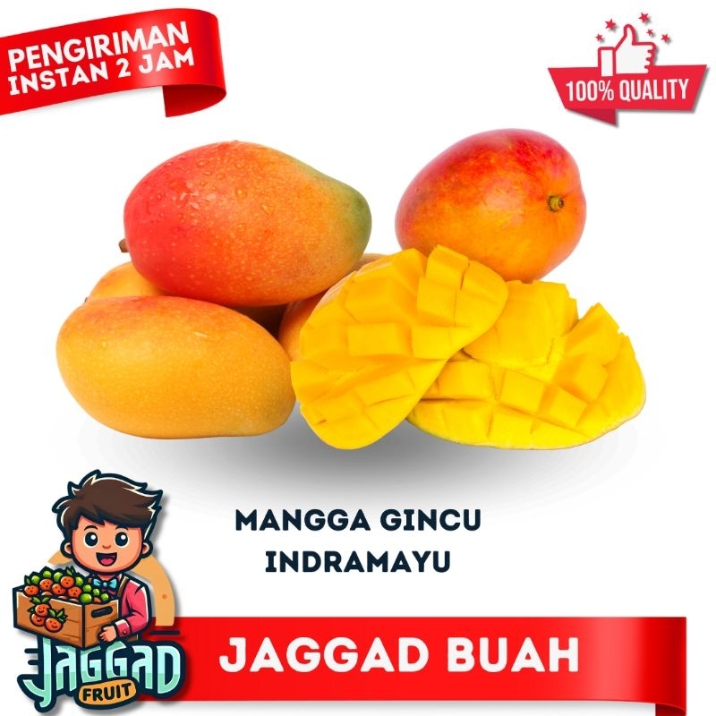 

Mangga Gincu Indramayu Fresh Jaggad Fruit
