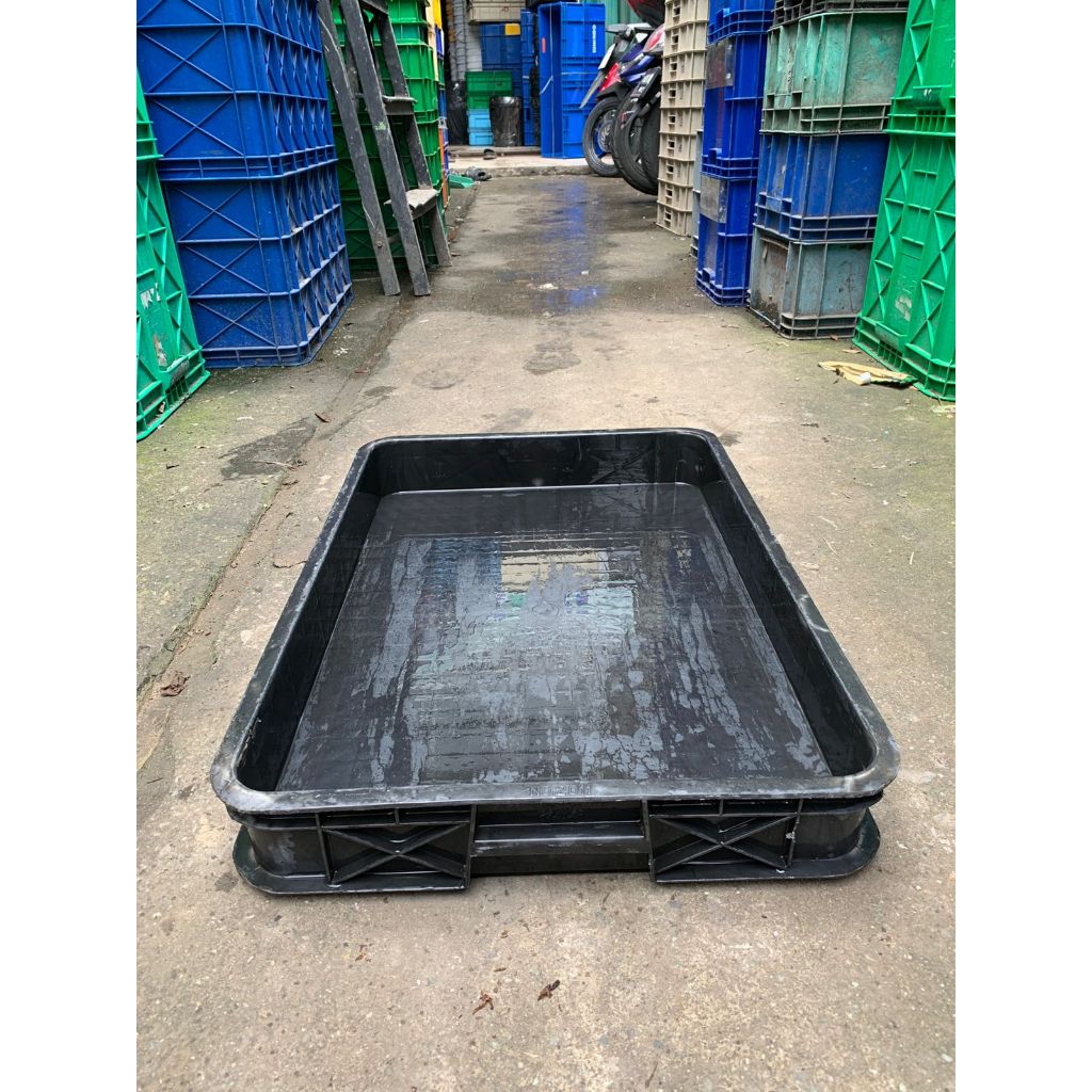 Box Rabbit Kontener Bak Kura Kura Kandang Magot Kandang Lobster box 2011