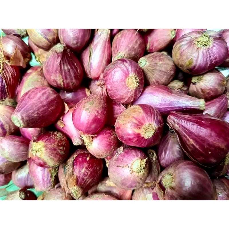 

Bawang Merah brebes 1kg/bawang lokal merah termurah