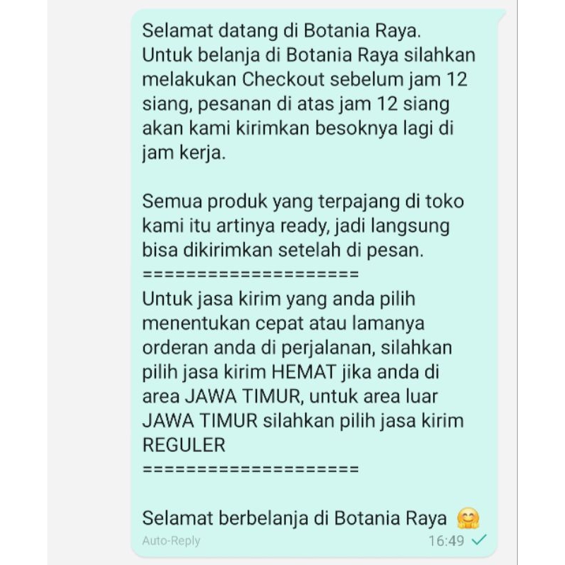 ID BOTANIA RAYA TANAMAN HIAS AKAR GANTUNG MERAH CURTAIN IVY L ANTI POLUSI UDARA & RADIASI