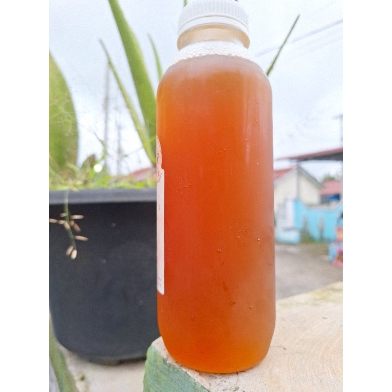 

Kombucha