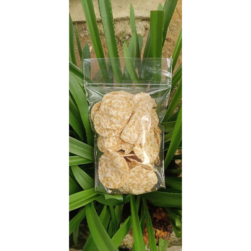 

KRIPIK TEMPE