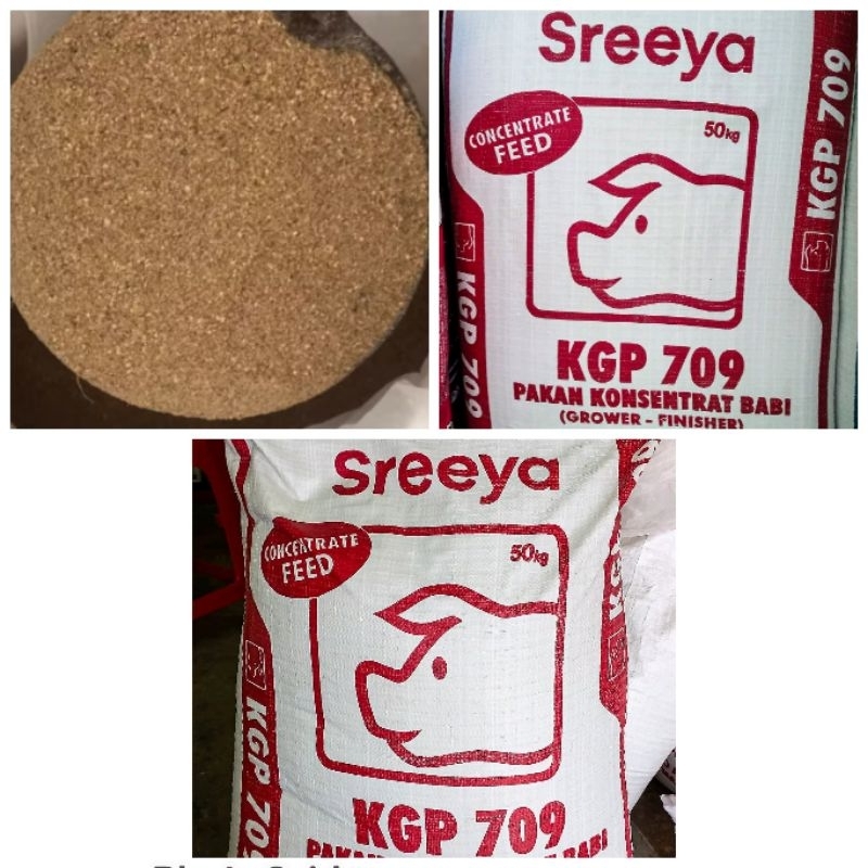 Kgp sreeya 709 konsentrat babi pakan ternak campuran pakan hewan