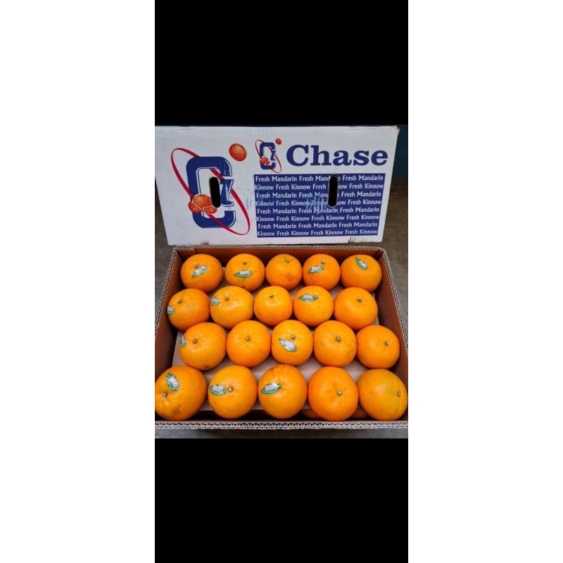 

Jeruk kino chase manis dus -+10kg