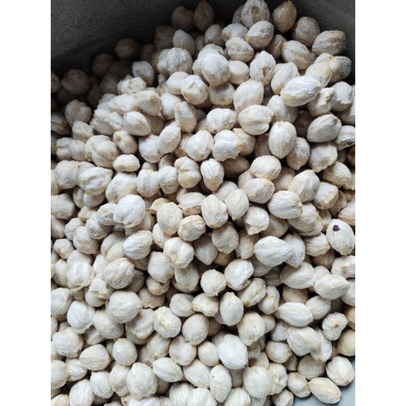 

kemiri 500 gram original