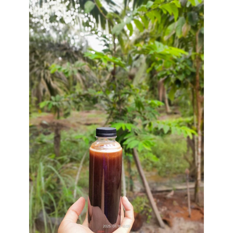 

MADU HUTAN jambi LEBAH MALLIFERA MURNI TANPA CAMPURAN