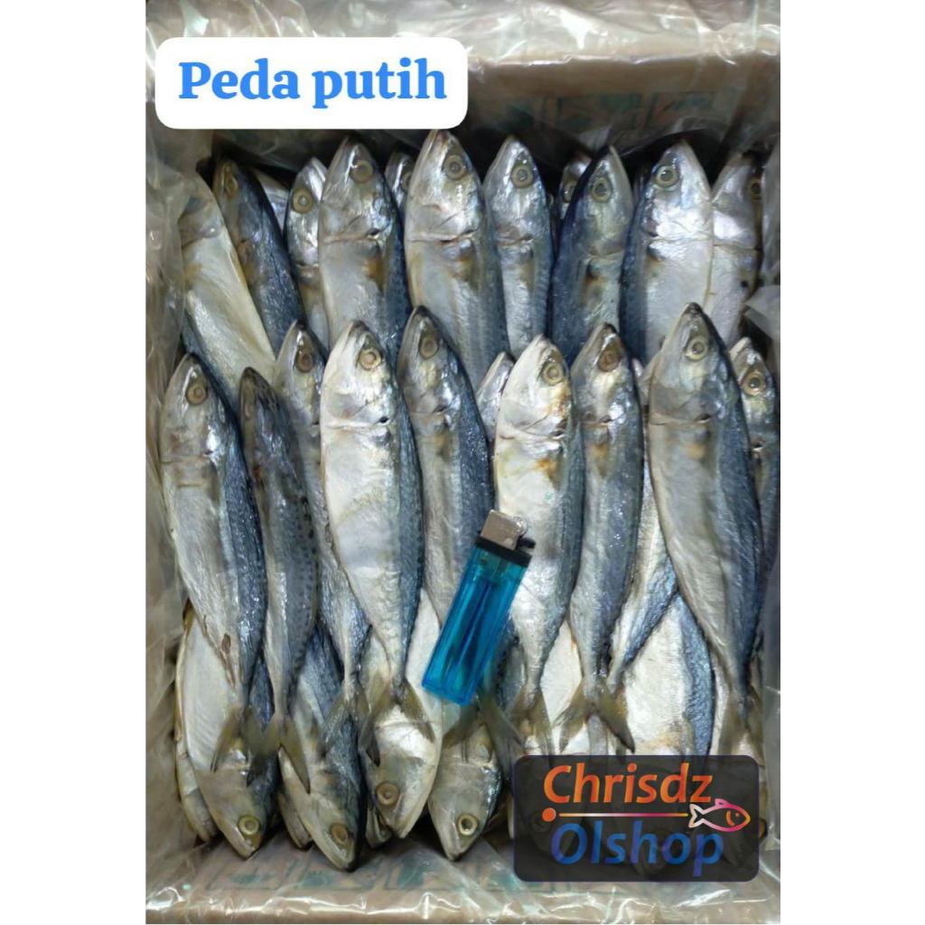 

Ikan Asin Peda Putih (500Gr /1Kg)