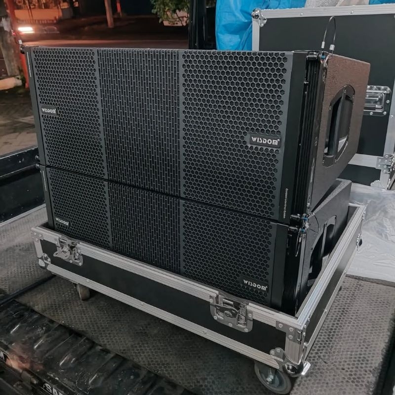 Speaker Line aray wisdom rx 210 neo / line aray rx 210 neo / rx 210 neo