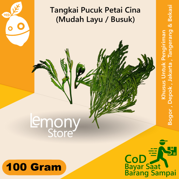 

Pucuk Tangkai Daun Muda Lamtoro Petai Cina 100 Gram