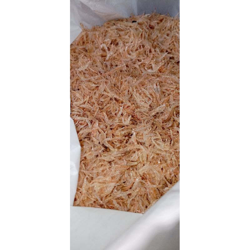 

udang papai fresss setengah kilo