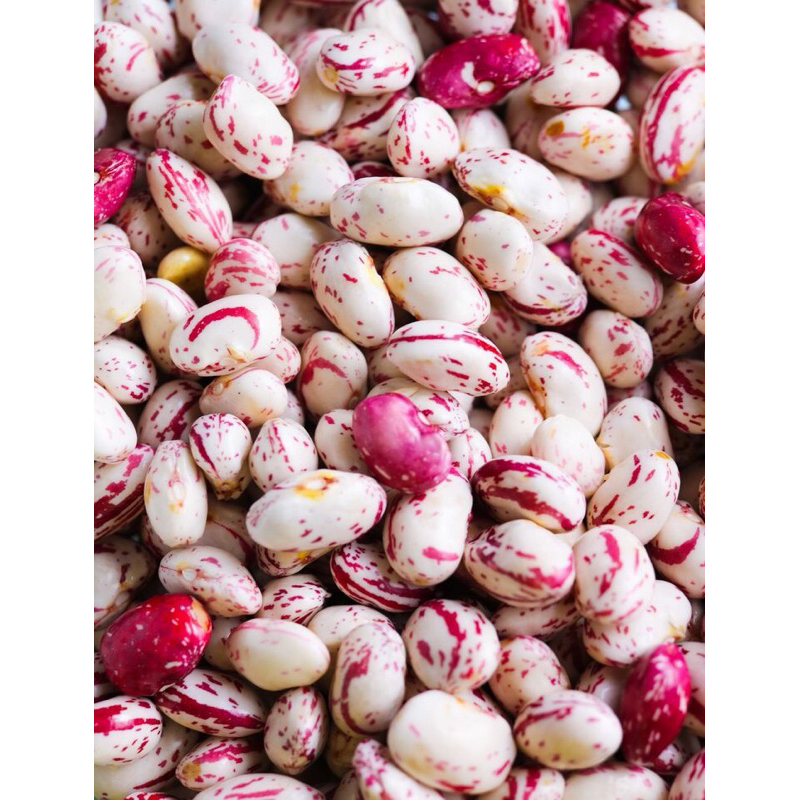 

Kacang Endul Putih 250g-1kg | Kacang Endul Fresh Ready