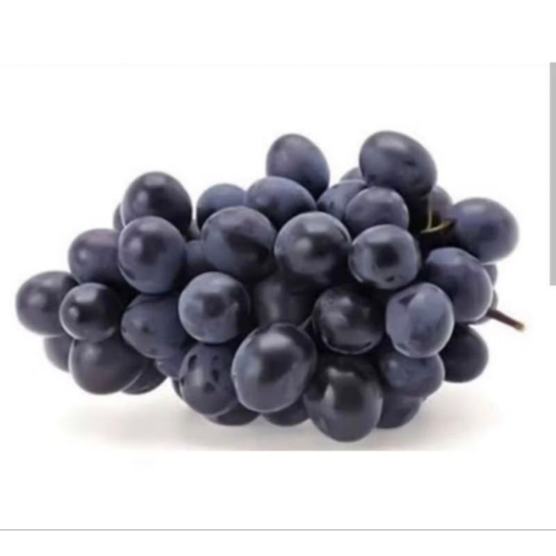 

buah anggur hitam autralia manis 500gr