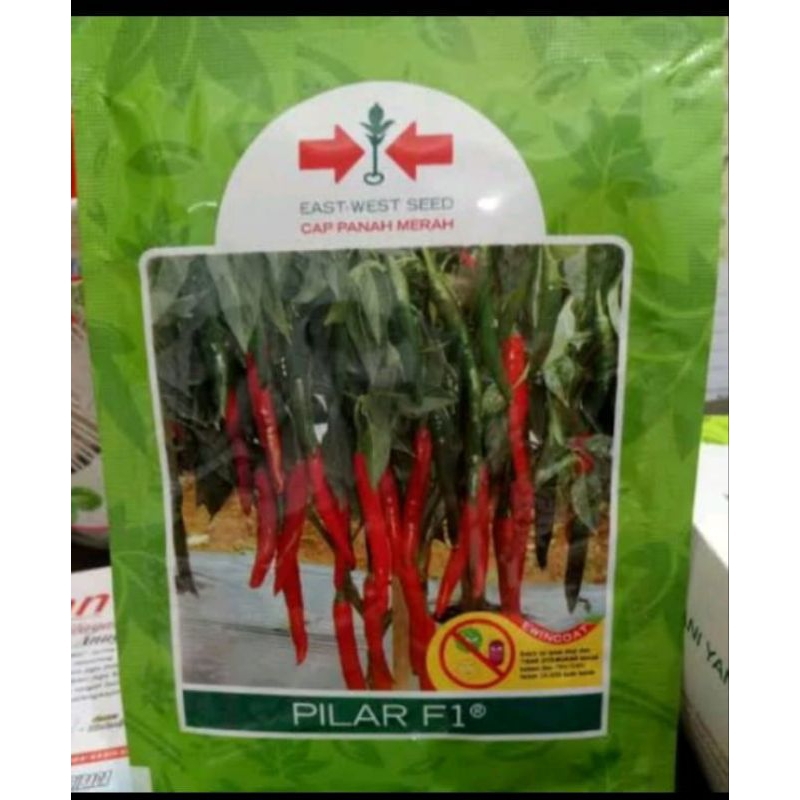 

Benih cabe besar PILAR F1 15000 Butir biji cabe merah besar cmb hibrida dari panah merah original