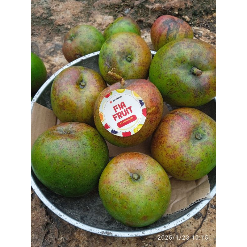 

mangga apel