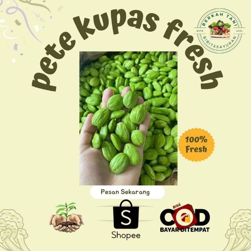 

500gr Petai siap makan kemasan press BERKAH_TANI
