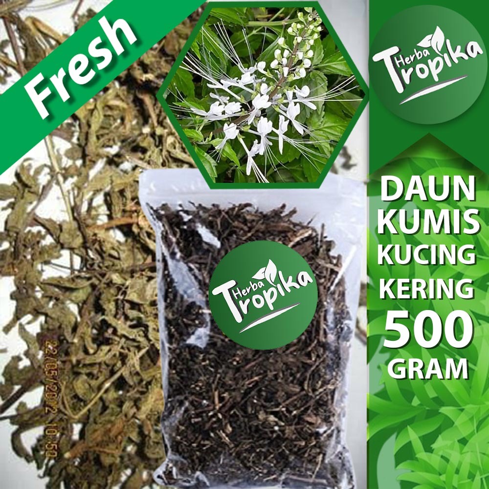 

Daun Kumis Kucing kering 500 gram obat herbal alami toko herba tropika