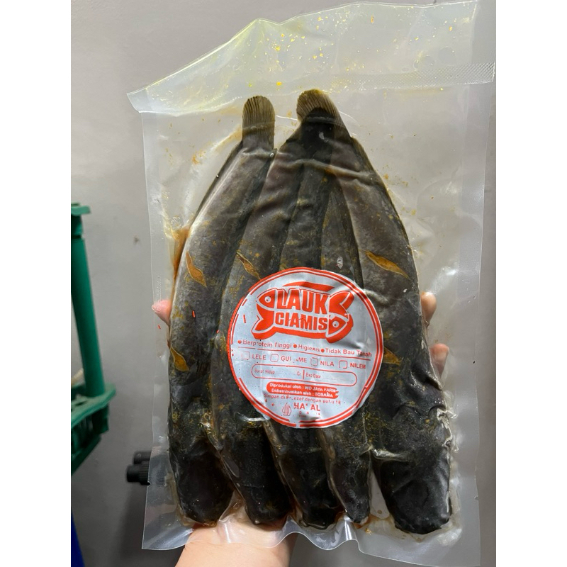 

Lele frozen marinasi berat 500 gr