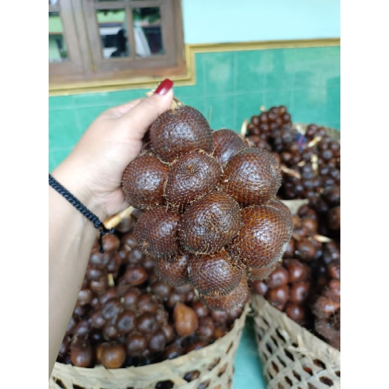 

Salak Pondoh Sleman