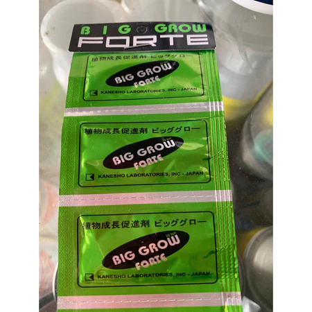 

ZPT BIG GROW FORTE 1 GRAM Kecil - 1 Sachet EXP 2029 | PERANGSANG & PEMBESAR BUAH