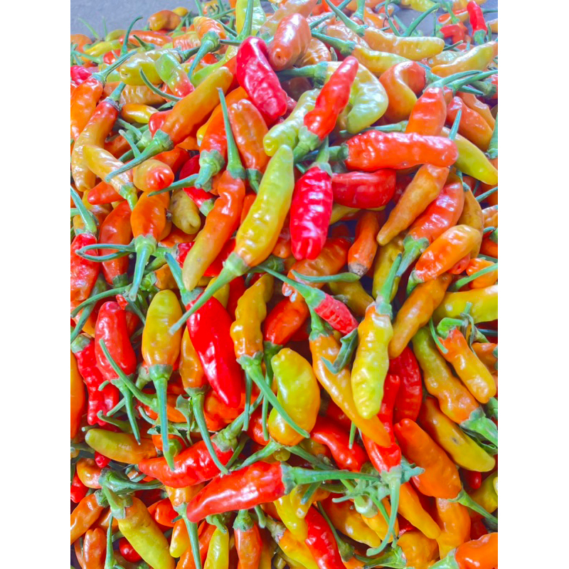 

CABE RAWIT MERAH 500gr FRESH