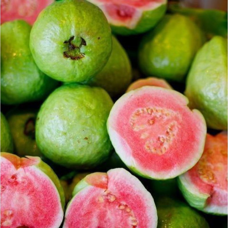 

jambu getas merah super 1kg