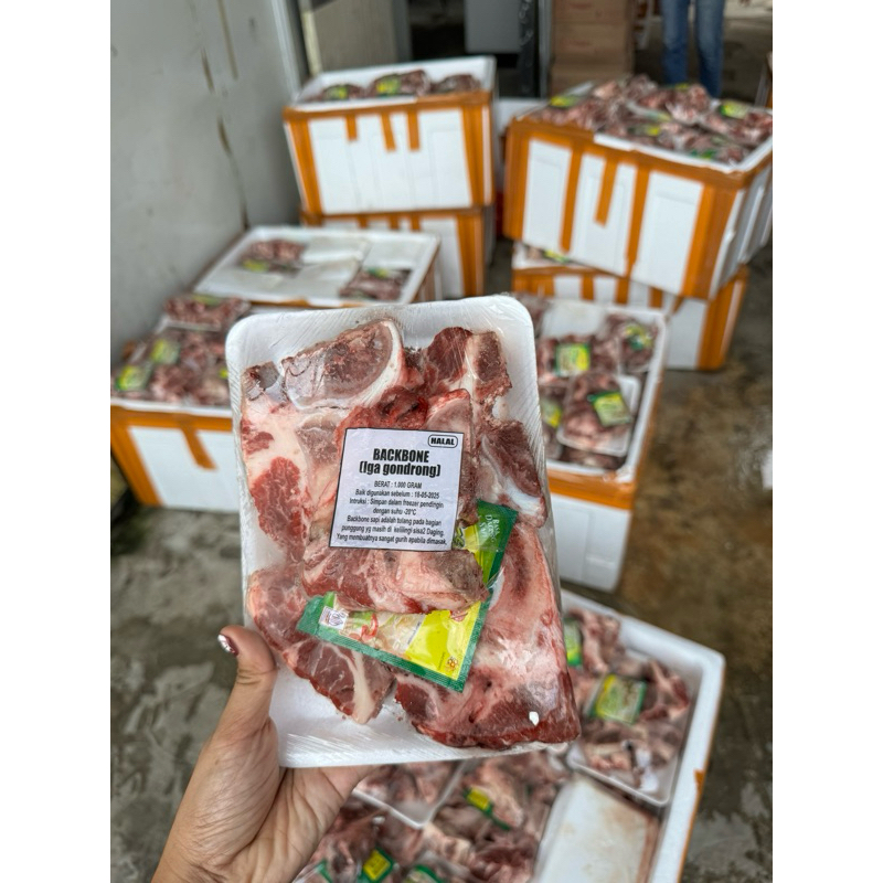 

IGA GONDRONG / Tulangan iga / backbone