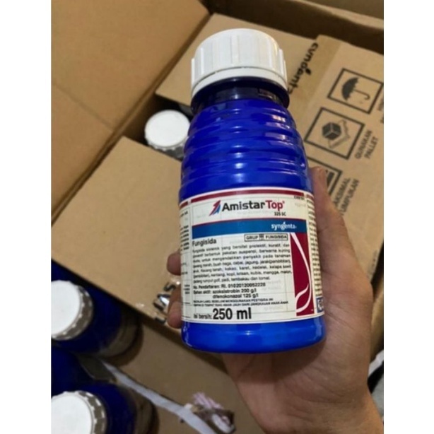 AMISTAR TOP 325SC OBAT TANAMAN FUNGISIDA SYNGENTA