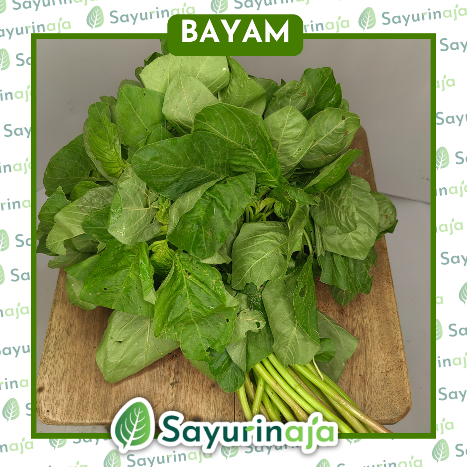 

Bayam Segar - Pilihan Sehat dari Sayurista!