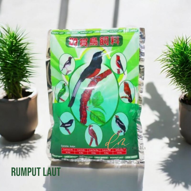 TOPSONG rumput laut pakan burung murai kacer anis beo