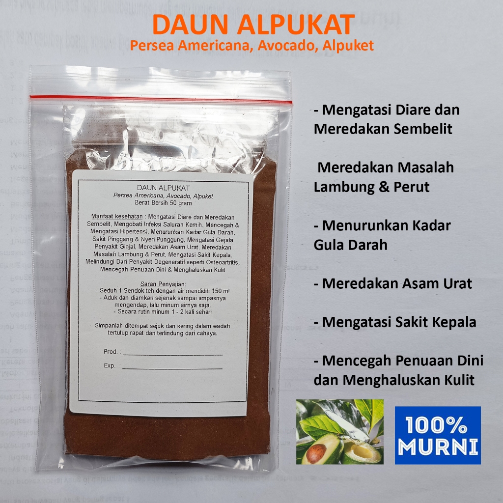 

DAUN ALPUKAT Seduh Serbuk Bubuk Infeksi Saluran Kemih Hipertensi Ginjal Asam Urat