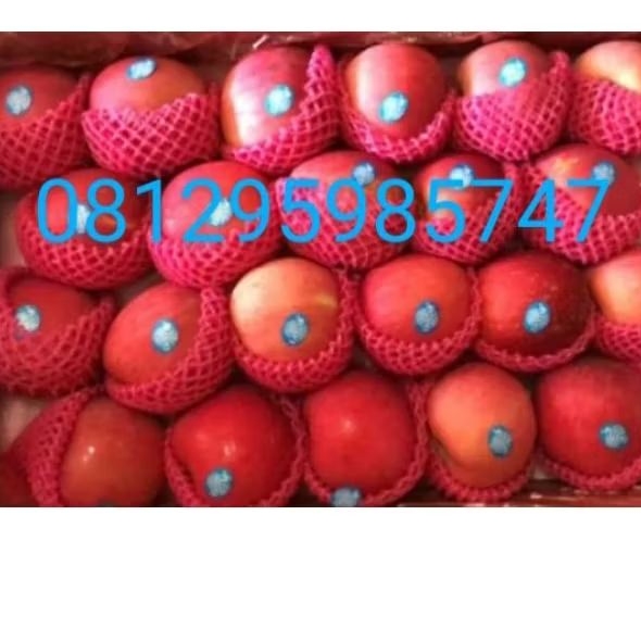 

Apel Fuji top Manis Garing FRESH TERMURAH grosir per Dus