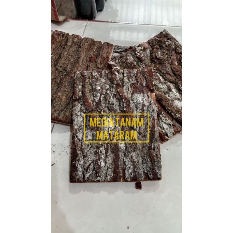 Papan Kulit Pinus | Media Anggrek Kulit Pinus
